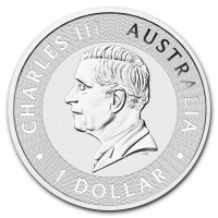 Stříbrná mince Australian Kangaroo 1 oz (2025)