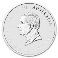 Stříbrná mince Year of the Horse - Rok Koně 1 oz (2026)